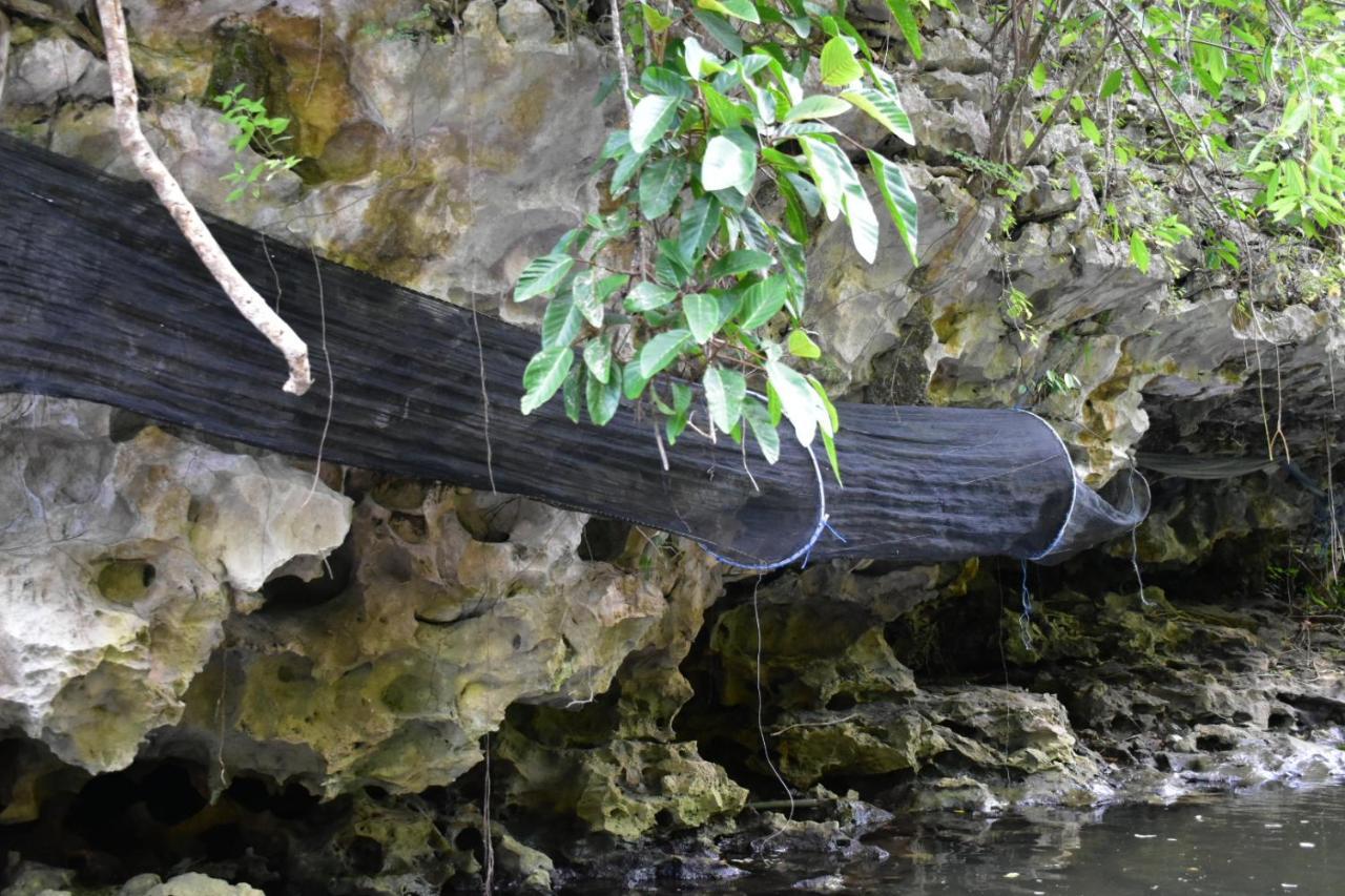 בית הארחה Kasijala 	Kampoeng Karst Rammang Rammang מראה חיצוני תמונה