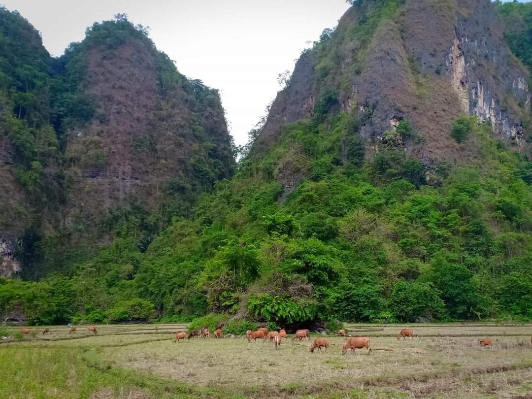 בית הארחה Kasijala 	Kampoeng Karst Rammang Rammang מראה חיצוני תמונה