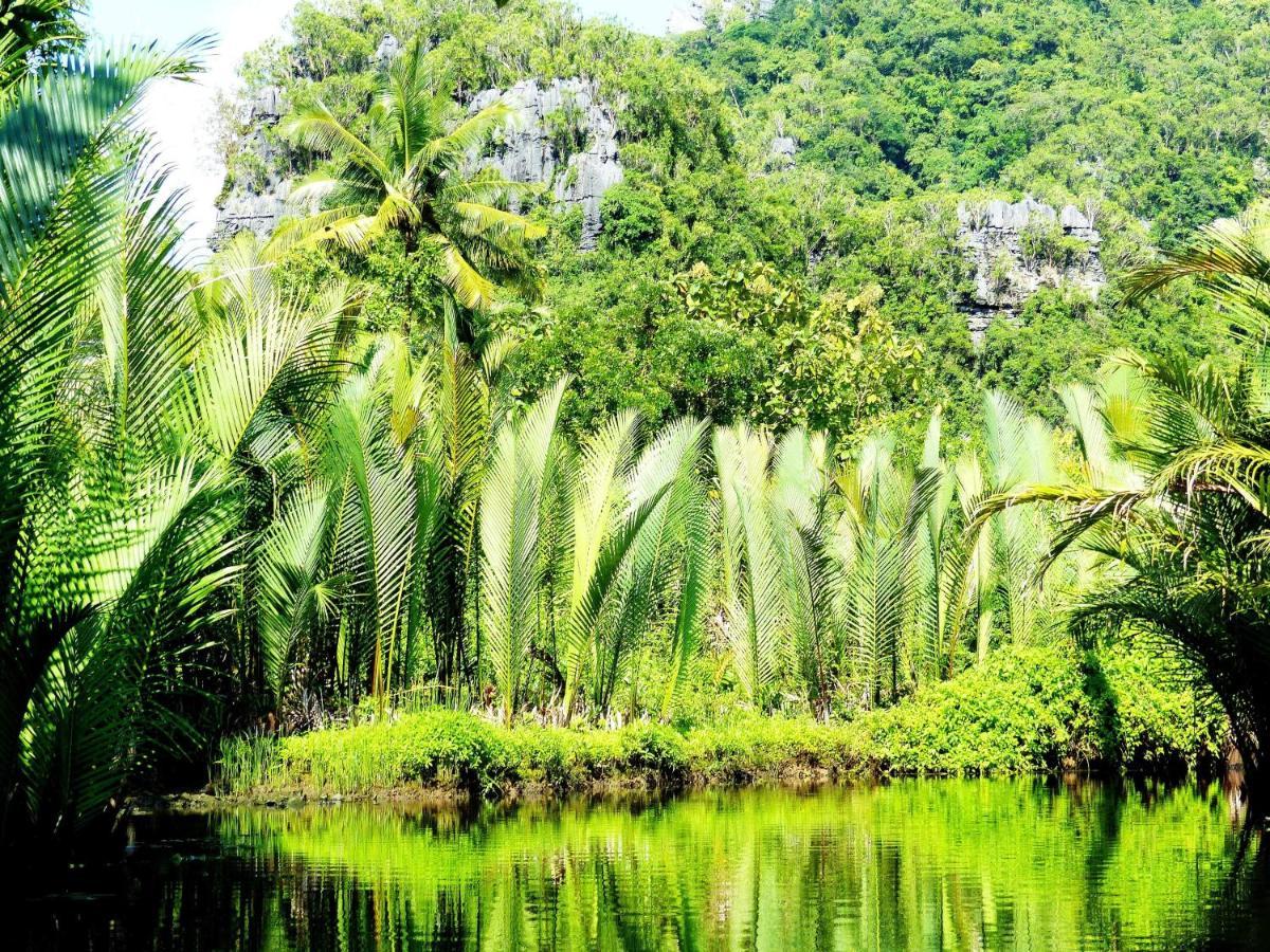 בית הארחה Kasijala 	Kampoeng Karst Rammang Rammang מראה חיצוני תמונה