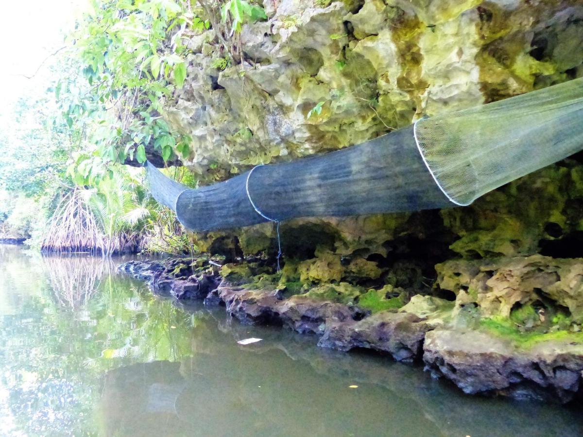 בית הארחה Kasijala 	Kampoeng Karst Rammang Rammang מראה חיצוני תמונה