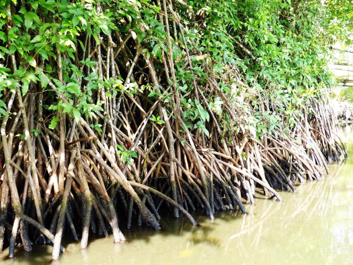 בית הארחה Kasijala 	Kampoeng Karst Rammang Rammang מראה חיצוני תמונה