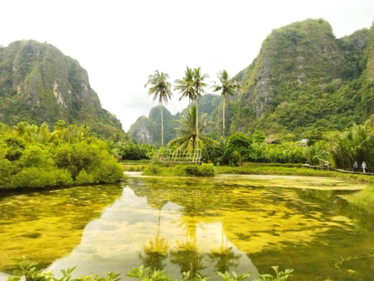 בית הארחה Kasijala 	Kampoeng Karst Rammang Rammang מראה חיצוני תמונה