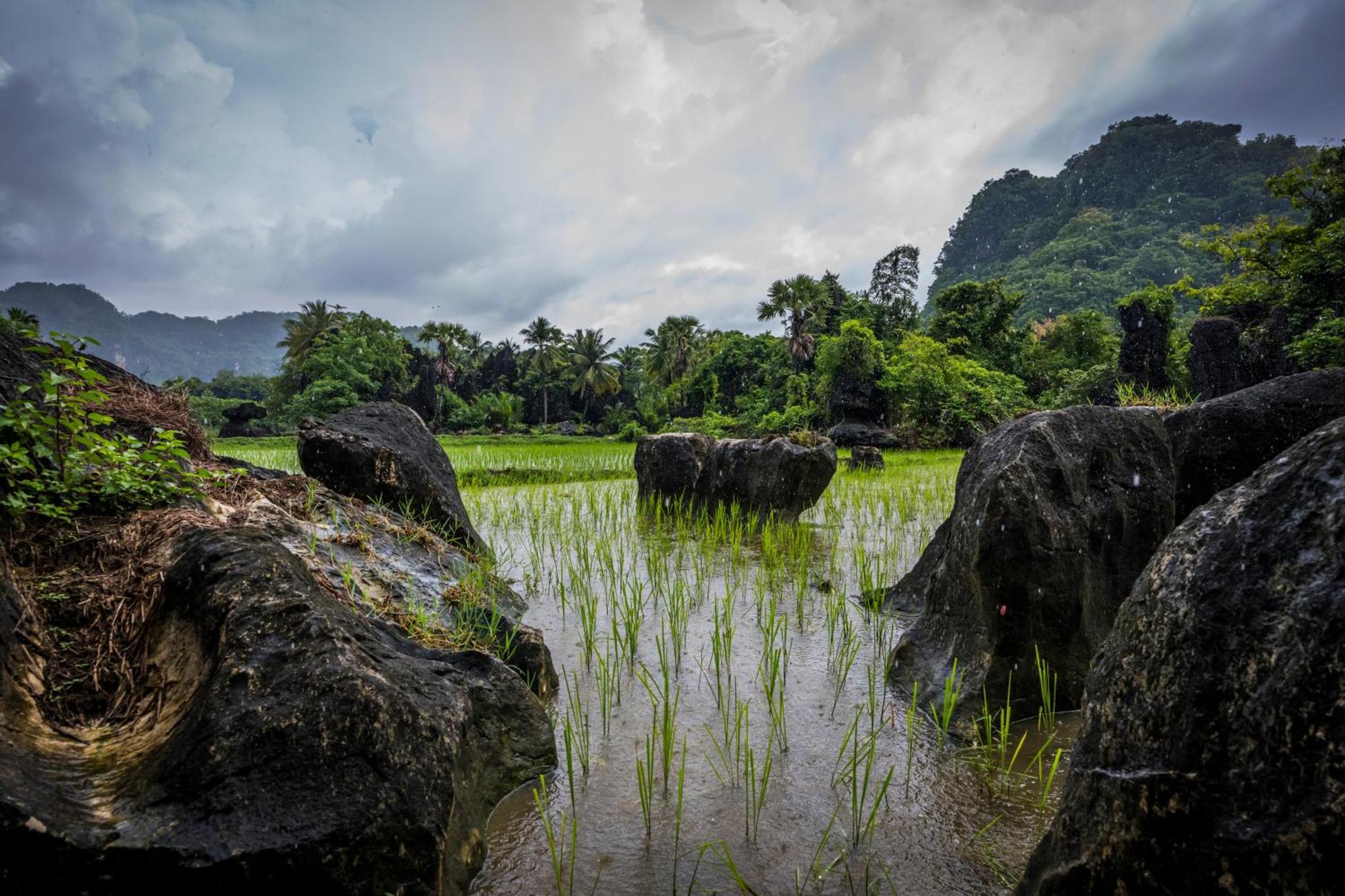 בית הארחה Kasijala 	Kampoeng Karst Rammang Rammang מראה חיצוני תמונה