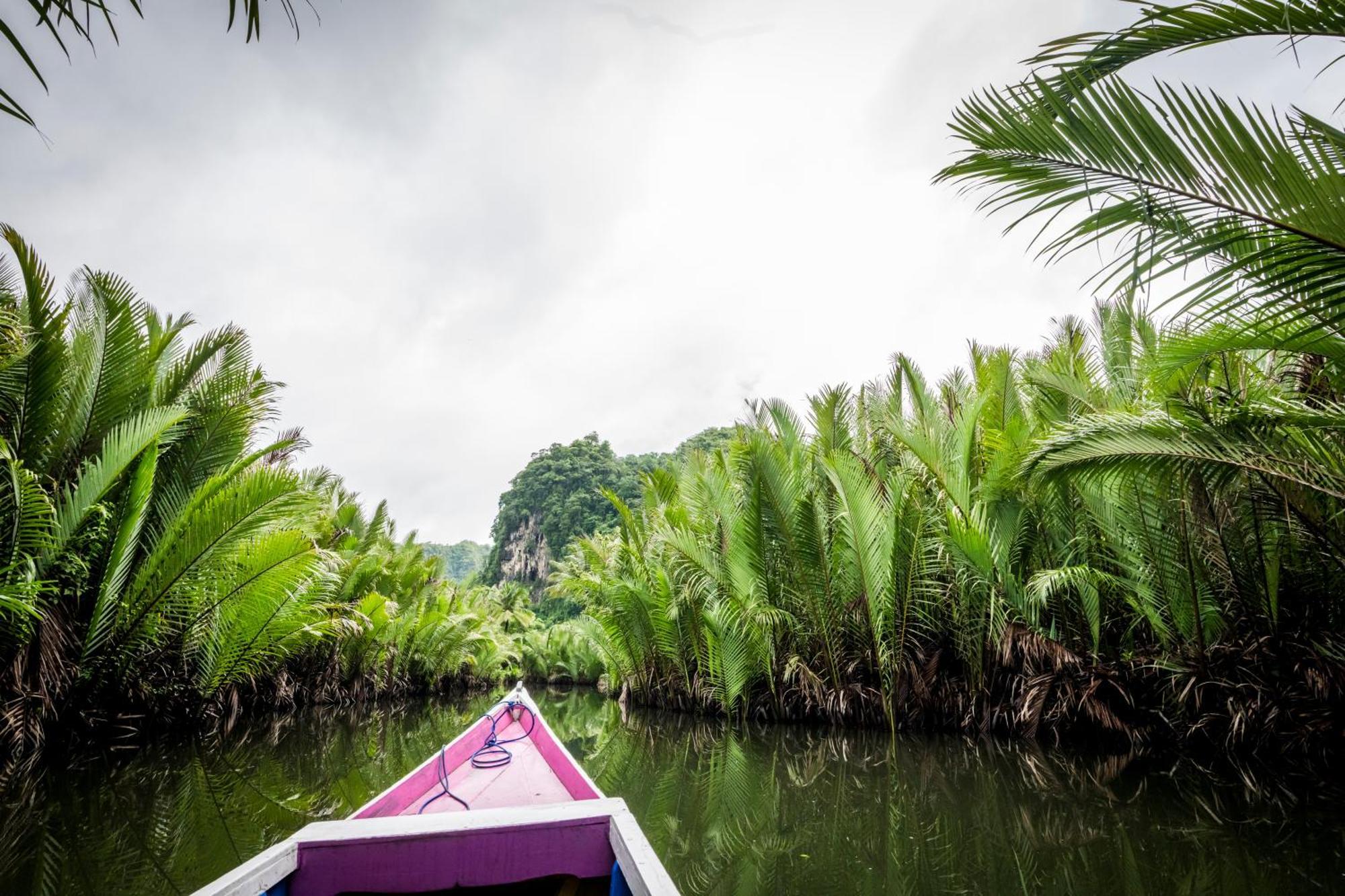בית הארחה Kasijala 	Kampoeng Karst Rammang Rammang מראה חיצוני תמונה