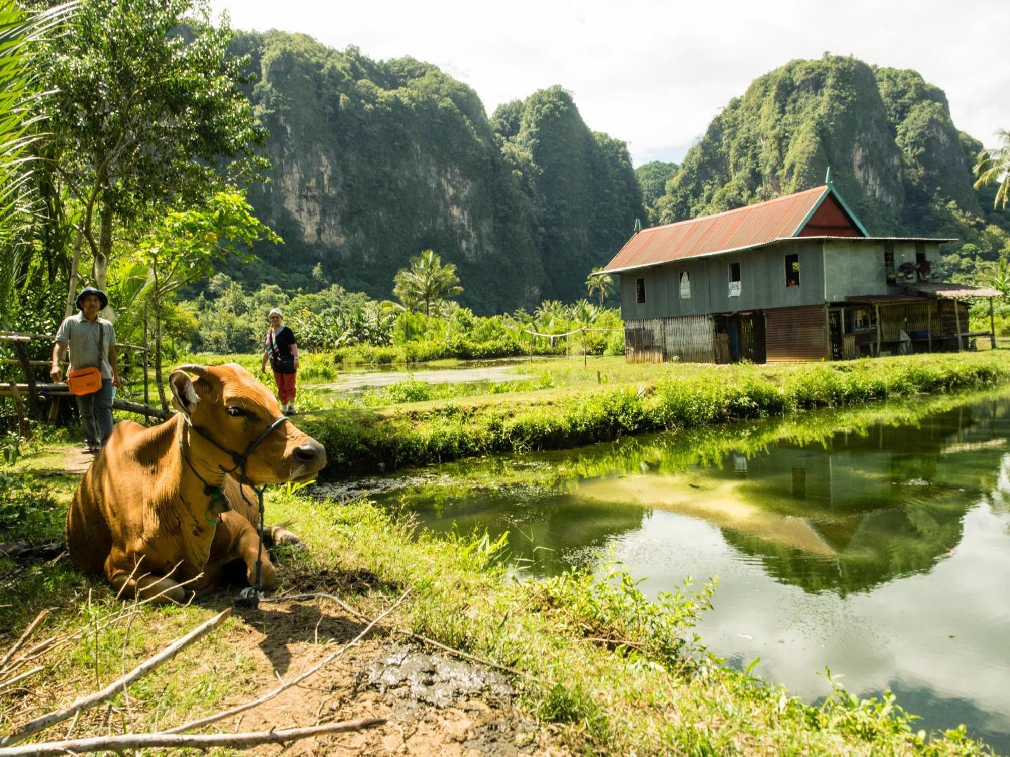 בית הארחה Kasijala 	Kampoeng Karst Rammang Rammang מראה חיצוני תמונה