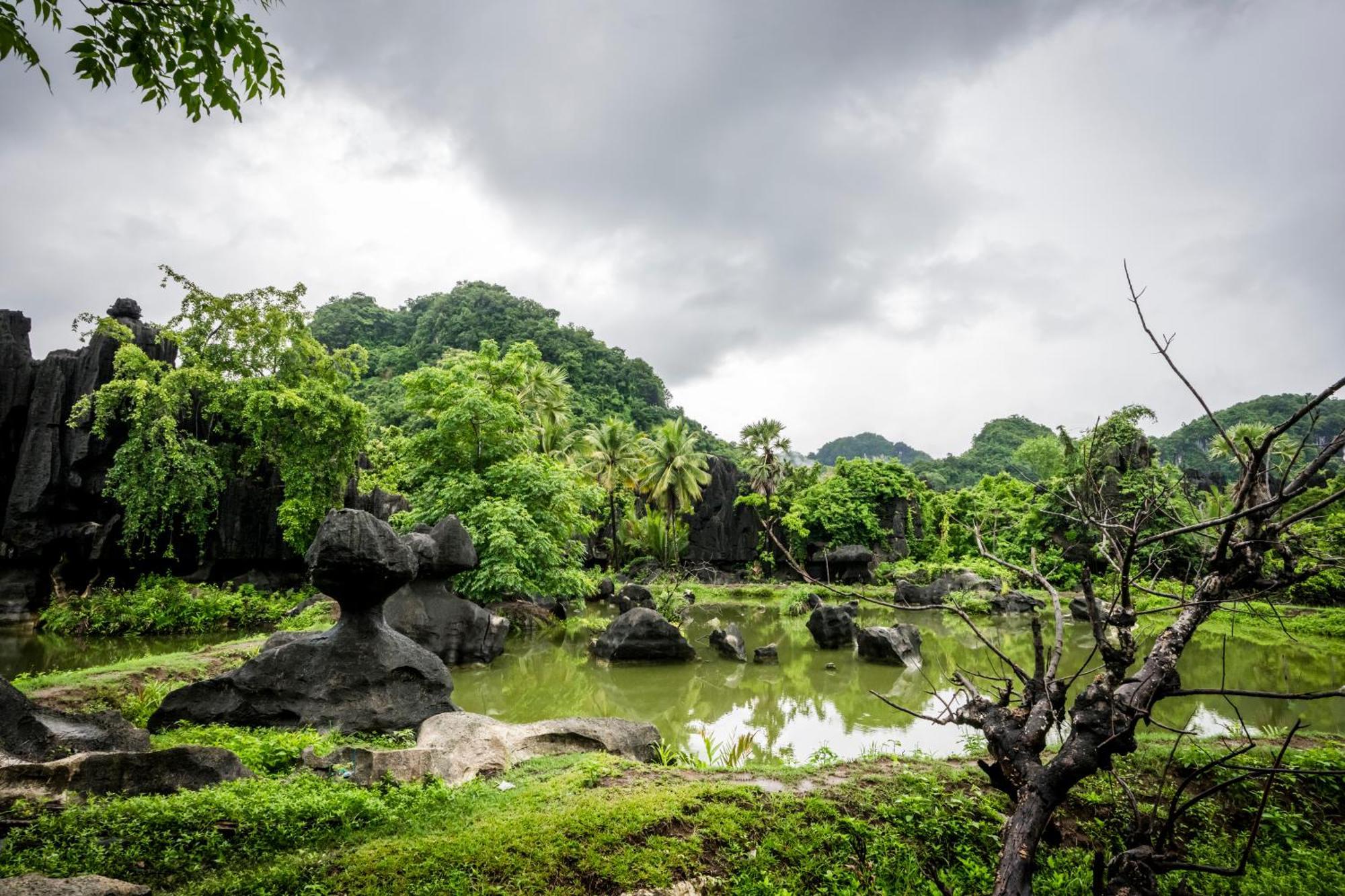בית הארחה Kasijala 	Kampoeng Karst Rammang Rammang מראה חיצוני תמונה